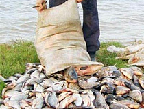 Сотрудники полиции задержали двух рыбаков за незаконный вылов 300 кг рыбы 