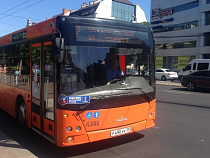 Бесплатно ездить в транспорте на ЧМ-2018 смогут только три категории граждан