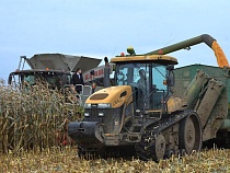 В Калининградскую область ввозят семена из недружественных стран