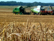 Калининградскую область планируют включить в отраслевую федеральную программу по мелиорации земель