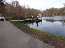 В Зеленоградске в драке подростки изувечили друг друга