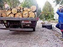 Когда в Калининградской области можно начать просить у власти дрова