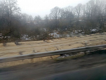 «Управление Балтийского флота» оштрафовали за разлив нефтепродуктов под Переславским