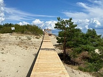 Директор Кушской косы попросил не ходить на озеро Лебедь 