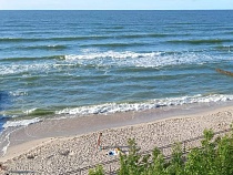 Пляжи Калининградской области охватила нечеловеческая смерть