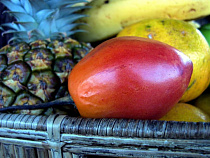 В одном из продуктовых магазинов Советска торговали просроченной колбасой и испорченным манго