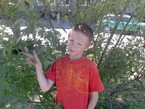 В Калининграде разыскивают сбежавшего подростка