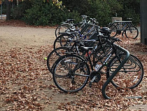 Серийный похититель велосипедов в Калининграде получил три года