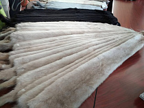 Антону Алиханову показали норок