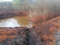 Экологическая катастрофа: в Калининградской области обнаружили признаки разлива нефти