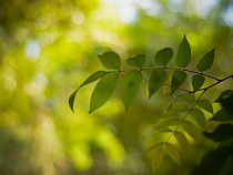 Машков призвал общественников объединиться на высадках