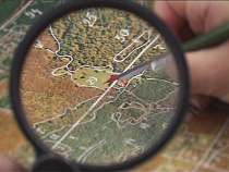 Мясокомбинат из Советска оштрафован за нарушения земельного законодательства