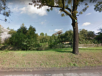 А. Ю. Рябоволов вырубит 33 дерева и кустарник на Ялтинской под магазин