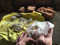 Задержаны трое подозреваемых в ограблении ломбарда на 2,5 млн рублей