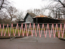 В зоопарке Калининграда на реконструкцию закрыли «Львятник»