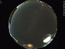 Заглянувшие в космос учёные из Калининграда сняли разумных существ