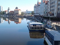 Названы сроки цифровой трансформации Калининградской области 