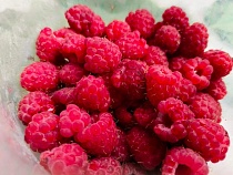 С плодово-ягодными в Калининградской области в 2025 году «катастрофа»