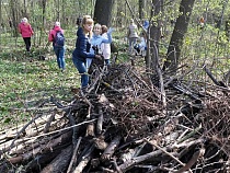В Калининградской области вдвое вырос спрос на дрова 