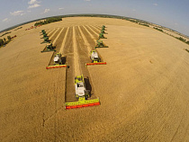 «Калининградская мясная компания» расширила штат до 482 человек 