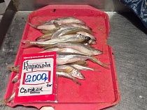 Курорт под Калининградом приглашает на праздник подорожавшей рыбы
