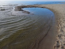 В Калининградской области туристов предупредили о кромешном ужасе в море