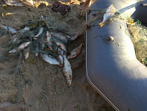 Пограничники изъяли у нарушителей 25 кг рыбы и 400 метров сетей