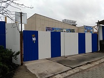 На месте несостоявшейся стройки фирмы Шкиля высадят магнолии и сакуры 