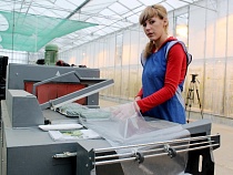 Ритейлер: плодоовощная продукция взаимозаменяема продукцией из других государств