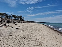 Пляж не для всех в Калининградской области заполз на защитную преграду