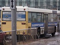 На обновление автобусного парка Калининграду требуется более 3 млрд рублей