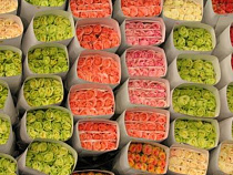 За неделю в Калининградскую область ввезли свыше 2 млн цветов