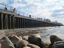 Полиция задержала под Зеленоградском более 20 добытчиков янтаря