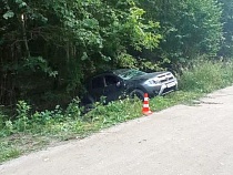 В Полесском районе водитель пожертвовала пассажиром из-за животного