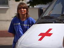 В 2016 году число пострадавших от укусов калининградцев увеличилось в 2 раза