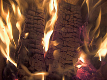 Вор воспользовался рощей, чтобы перепрятать похищенное из бани