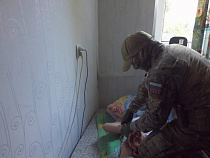 ФСБ схватила пособников ИГИЛ* в Калининграде (видео)