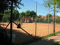 Застройщик теннисных кортов вырубит 533 дерева на Чекистов