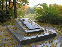 «По справедливости»: Алиханов рассказал о спасении зелёных зон