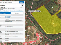 В Калининграде фирма сына депутата Горсовета вырубит 4,5 га рощи (карта)