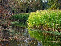 Губаров: фермеры потеряли 90% урожая 