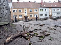 В Калининграде циклон «Эльза» уже повалил более 15 деревьев