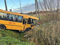 Водитель школьного автобуса устроил ДТП с 5 ранеными под Славском 