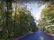 28-летний пешеход скончался после ДТП в Зеленоградском округе