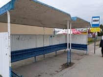 QR-кодами на остановках пользовались в среднем 3 раза в месяц