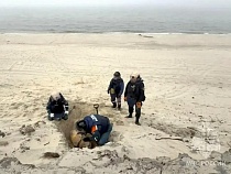 На дюнах Балтийской косы раздался запоздавший взрыв вермахта