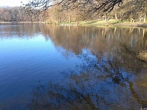 Жителей Калининграда направили на бесплатное оздоровление