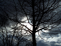 Калининградские энергетики перешли на режим повышенной готовности