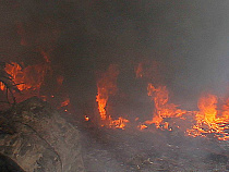 После визита Дмитрия Медведева в Калининграде сгорели два Renault