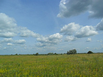 Калининградское предприятие оштрафовано на 240 тысяч рублей за нарушение земельного законодательства